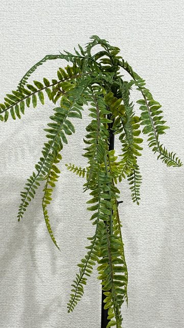 【カスタムオーダー】wall green 造花２５X２５の画像