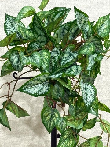 【カスタムオーダー】wall green 造花２５X２５の画像