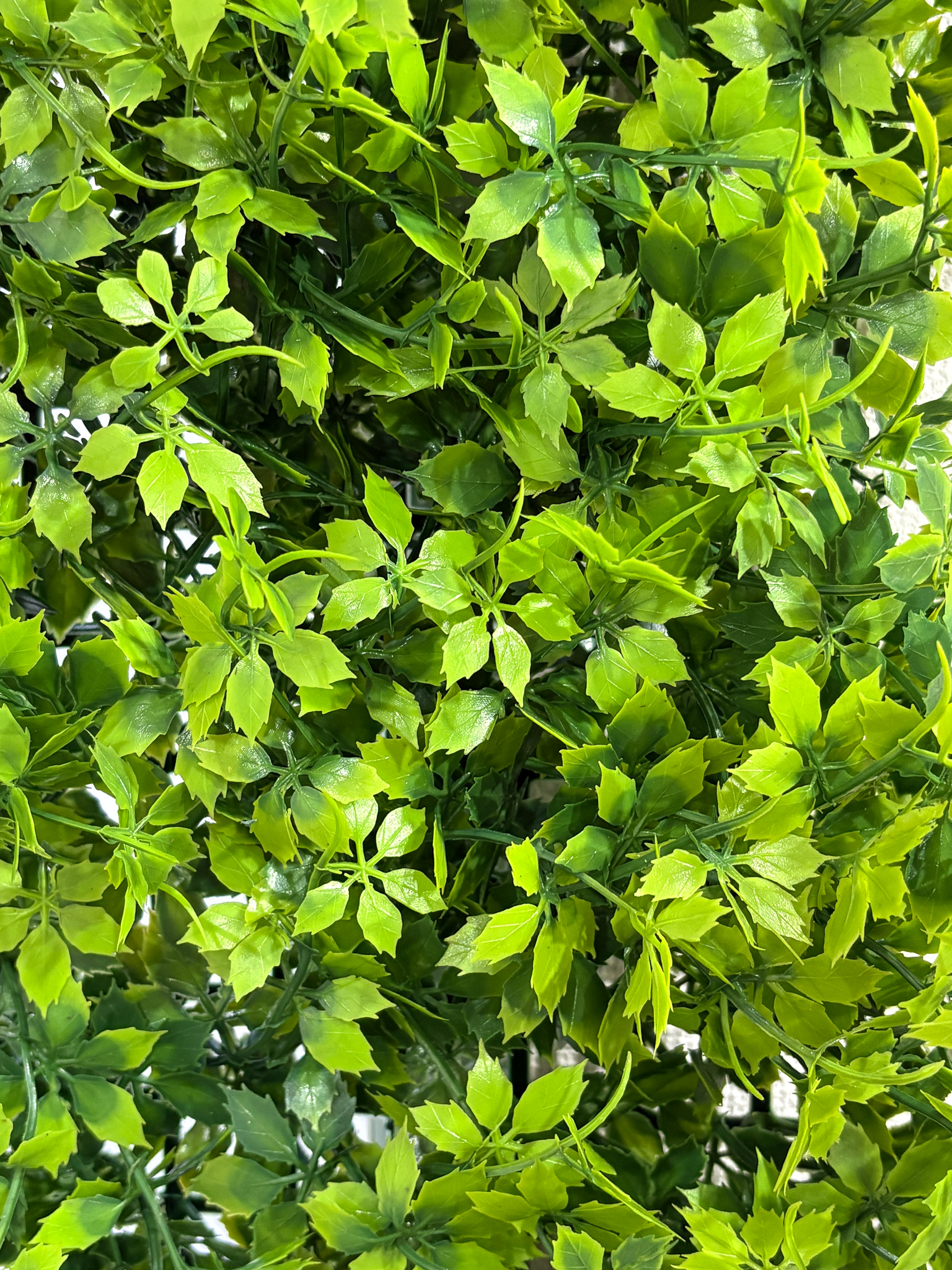【カスタムオーダー】wall green 造花50X50の画像