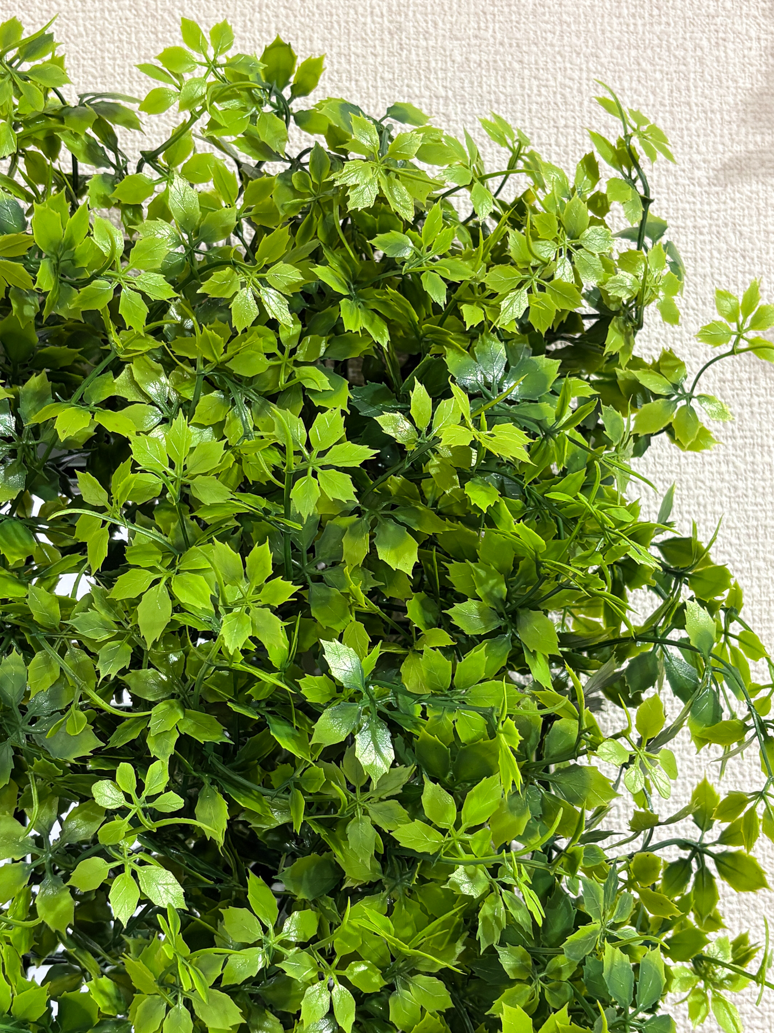 【カスタムオーダー】wall green 造花50X50の画像