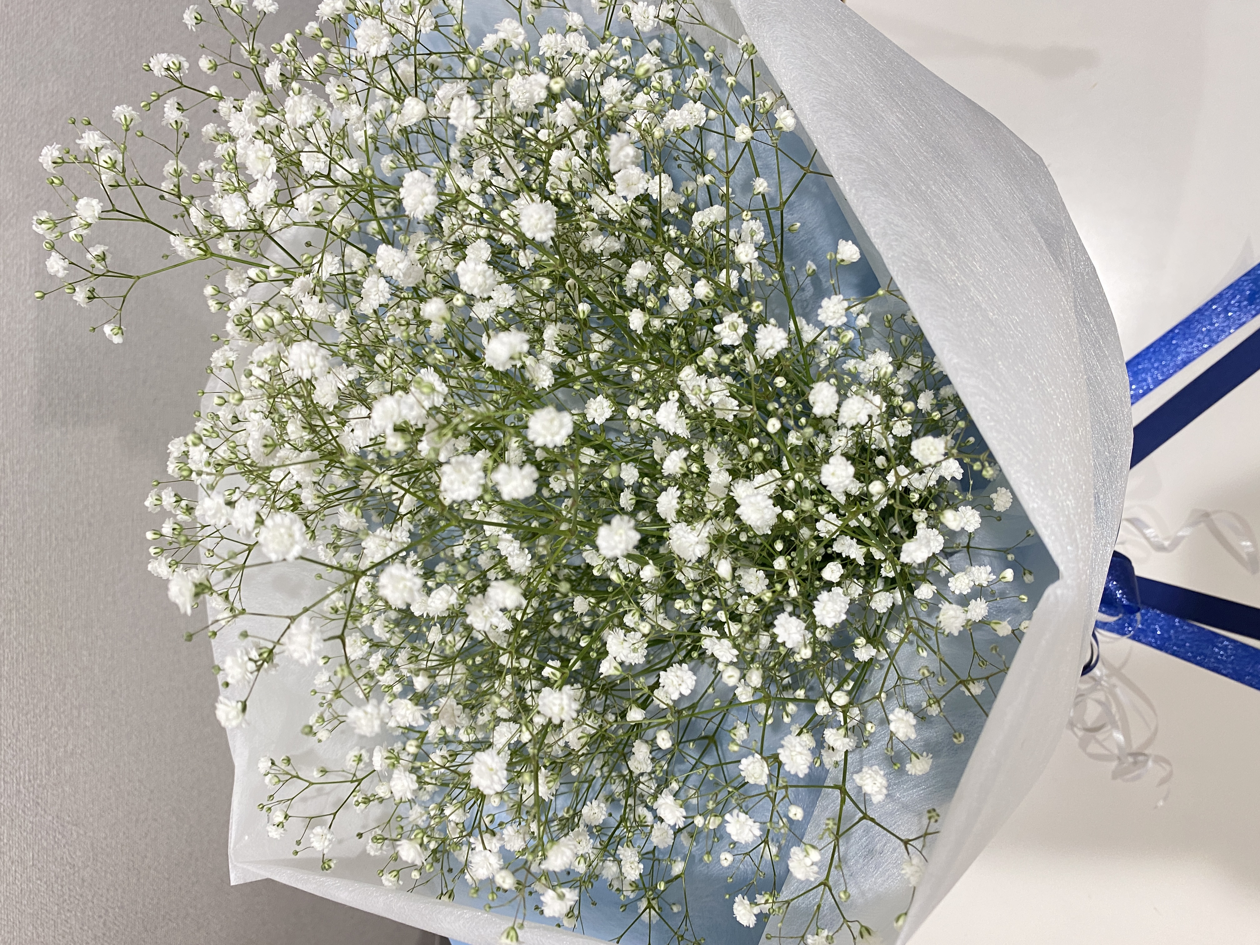 ホワイトカラーのカスミソウ花束の画像