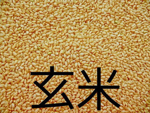 五郎兵衛米⭐︎令和6年⭐︎30kg 五郎兵衛米⭐︎令和6年⭐︎30kg 信州佐久オーガニック研究会】特別