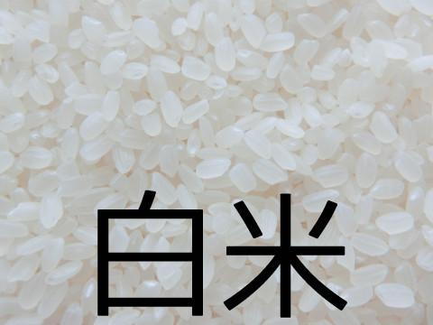 天日干し令和６年産　白米２０キロ 楽天市場】【最安値に挑戦】 米 お米 令和7年産 新潟県佐渡産 天日干し