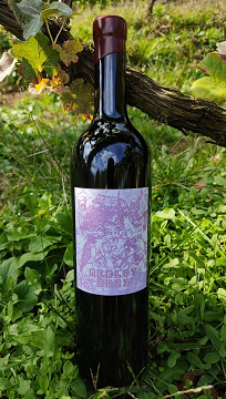 【赤】霧訪山シードル　MERLOT メルロー 2021の画像