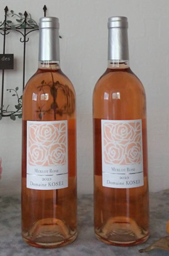 セラー保管 ドメーヌナカジマ メルロー 2023 セラー保管 ドメーヌ