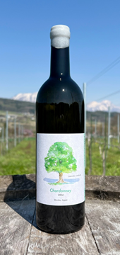 【白】TAMAI WINE　Chardonnay シャルドネ 2024の画像