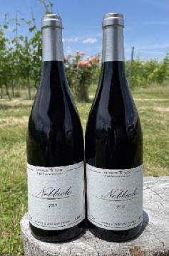 【赤】ヴェレゾンノート　Nebbiolo ネッビオーロ 2023の画像