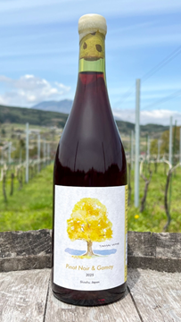 【赤】TAMAI WINE　Pinot Noir & Gamay  ピノノワール & ガメイ 2025の画像
