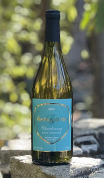 リエゾーさん・コーセイさん醸造/【白】VENTIQUATTRO ヴェンティクワットロ　CHARDONNAY SUR LIE – BÂTONNAGE シャルドネ シュールリーバトナージュ 2024の画像