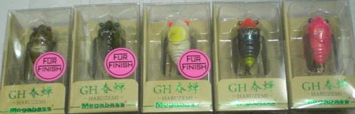 GH春蝉の画像