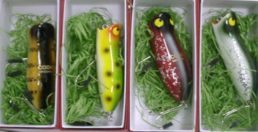 ガブの画像