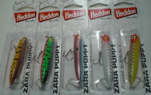 ザラパピーの画像