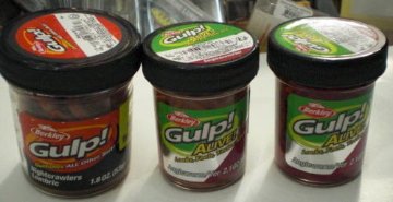 ガルプ！アースワームの画像