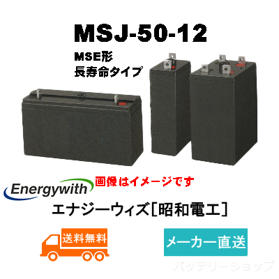 MSJ-50-12【エナジーウィズ】長寿命タイプ制御弁式据置鉛蓄電池（バッテリー） 12V 50Ahの画像