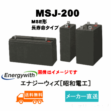 MSJ-200【エナジーウィズ】長寿命タイプ制御弁式据置鉛蓄電池（バッテリー） 2V 200Ahの画像