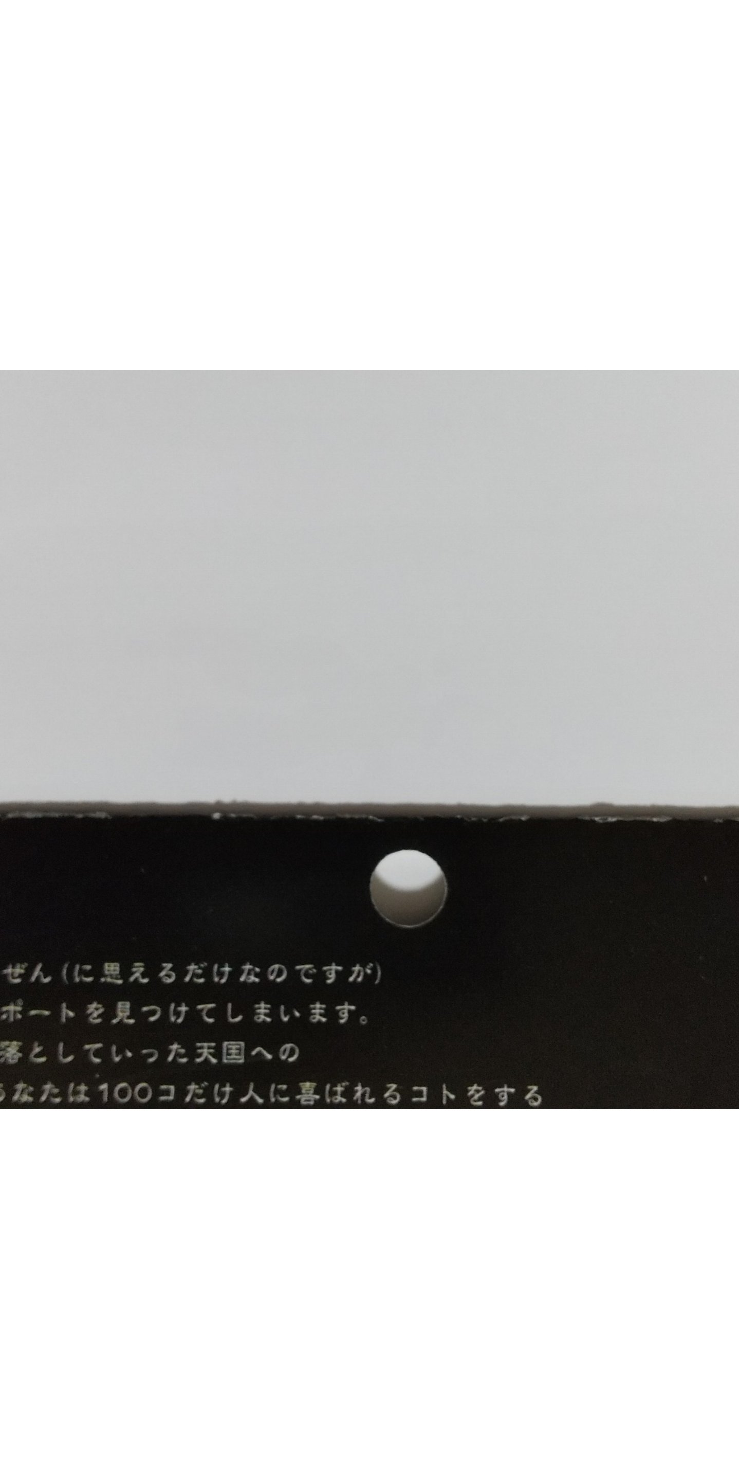 ヘブンズパスポート（送料込） 【蔵出し品】 の画像