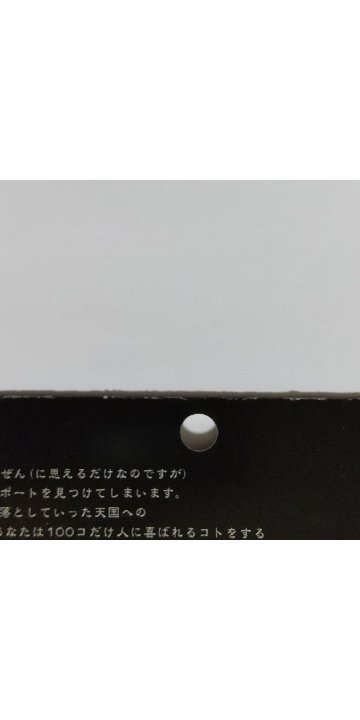 ヘブンズパスポート（送料込） 【蔵出し品】 の画像