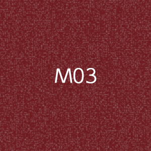 M1010　MOCTION　：M03画像
