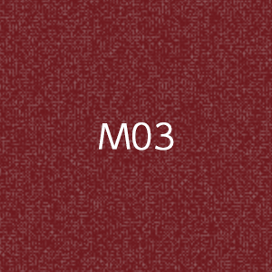 M1010　MOCTION　：M03の画像