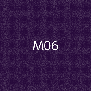 M1010　MOCTION　：M06画像