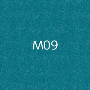 M1010　MOCTION　：M09画像