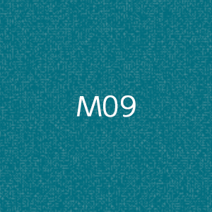 M1010　MOCTION　：M09の画像