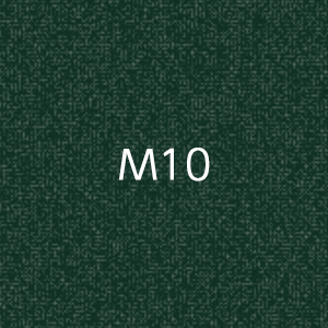 M1010　MOCTION　：M10画像