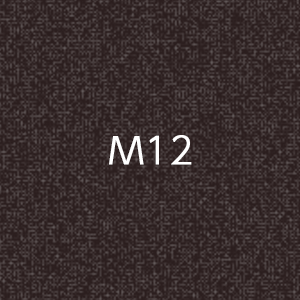 M1010　MOCTION　：M12画像