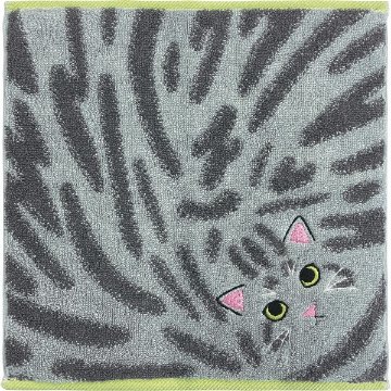 Ｕｃｈｉｎｏｋｏ　ｍａｔｅ　毛並みハンカチ サバトラ UNJ-804の画像