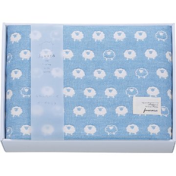 ふわら　六重織ガーゼケット ブルー FWR1508BLの画像