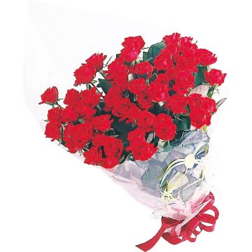 バラの花束　１６本から２０本までのお申し込み レッド 19RD16-20の画像
