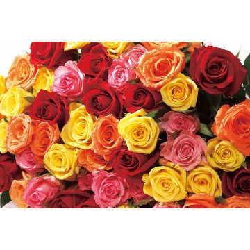バラの花束　２１本から１００本までのお申し込み ミックス 19MX21-100の画像