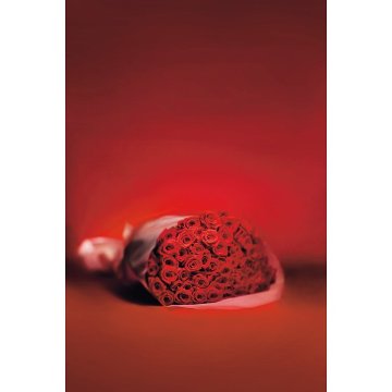 バラの花束　２１本から１００本までのお申し込み レッド 19RD21-100の画像