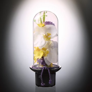 プリマ　ガラスドームの供花　胡蝶蘭（造花） PRSYｰ0132の画像