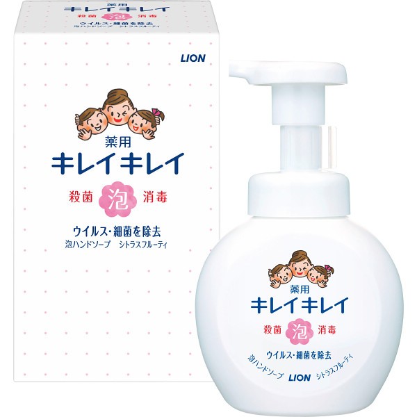 ライオン　キレイキレイ薬用泡ハンドソープ（２５０ｍｌ箱入） 1715202の画像