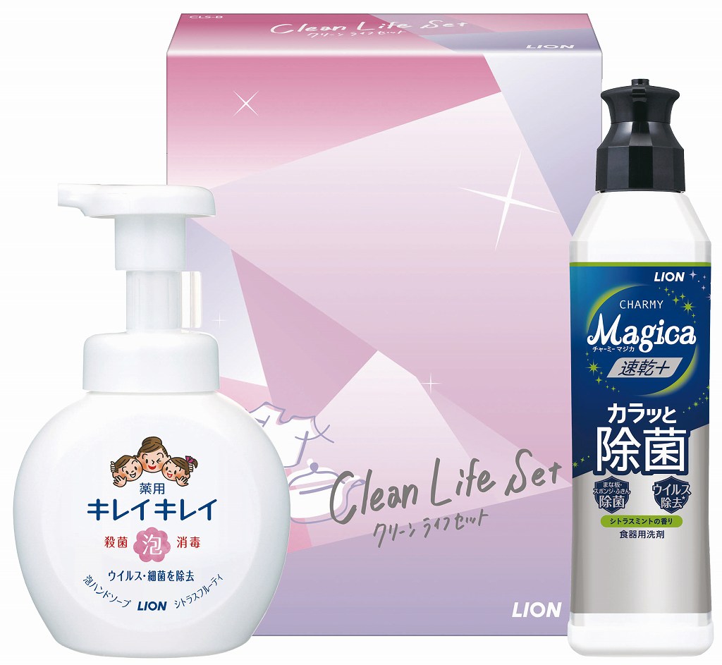 LIONクリーンライフセツトCLS-B　 CLS-B の画像
