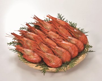 【北海道直送】 丸高水産 厚岸産北海しまえび300g(ボイル) 【全国送料込】(沖縄・離島除く)の画像