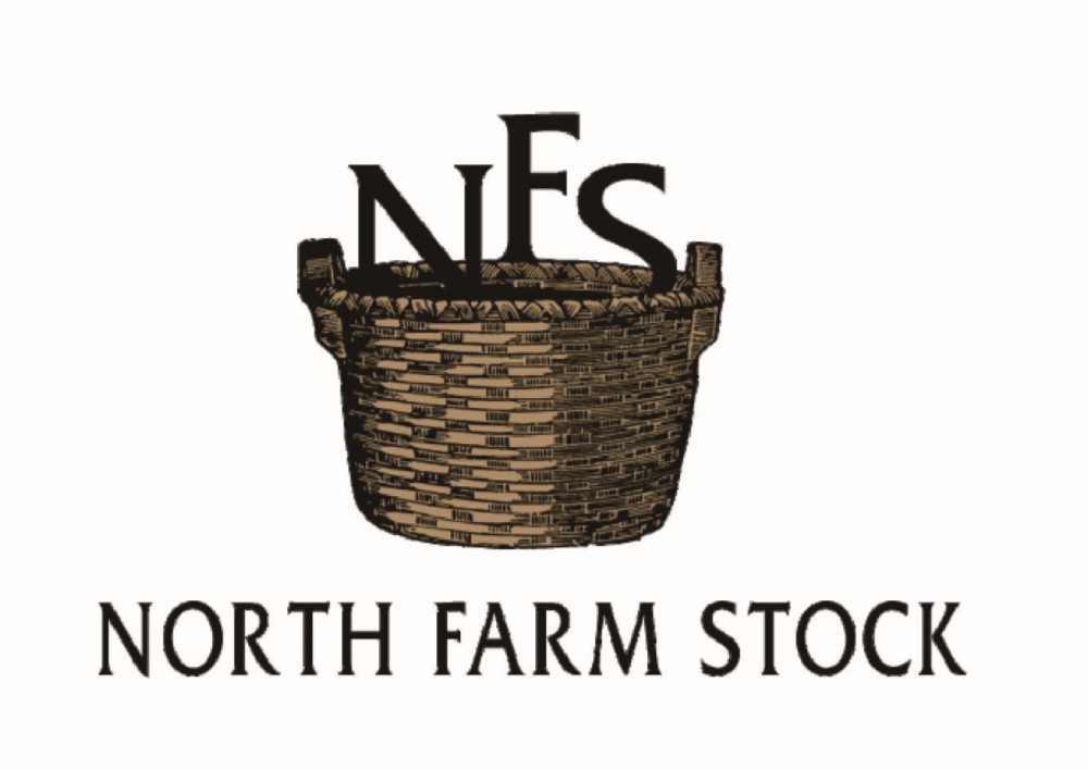 【北海道直送】 NORTH　FARM　STOCK 北海道ハニーレモネード＆ジンジャーエールギフト FO-07 【全国送料込】(沖縄・離島除く)の画像