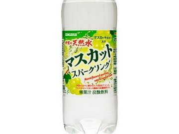 【ケース販売】サンガリア マスカットスパークリングＰ５００ｍｌ ×24 【全国送料無料】(一部地域別途)・まとめ買い・防災備蓄にも最適の画像