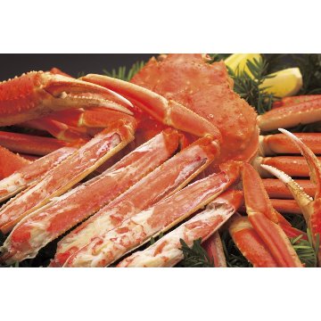2026年お歳暮特集 カナダ産ずわいがに2尾 500*2 【全国送料無料】(沖縄・離島など一部地域は除く)の画像