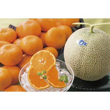 2026年お歳暮特集 温室マスクメロン&みかん詰合せ 2612587 【全国送料無料】(沖縄・離島など一部地域は除く)の画像