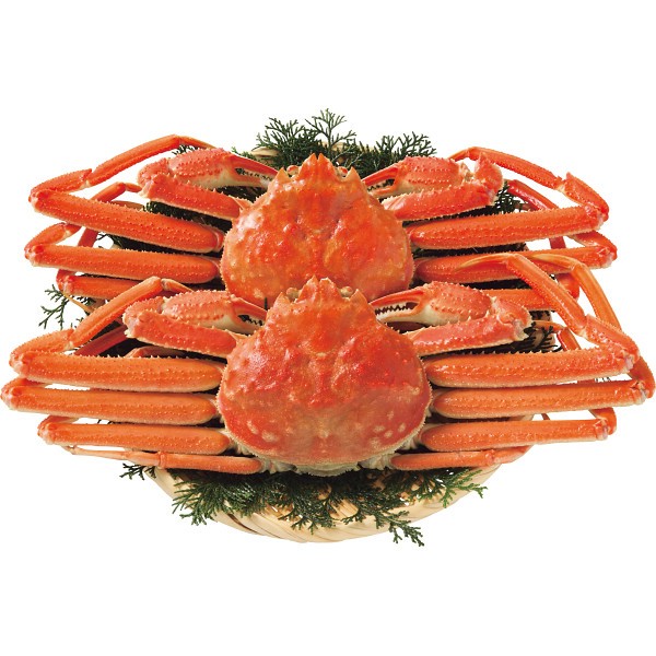 2026年お歳暮特別企画 北海道産　ボイル大ずわいがに姿２尾（計１ｋｇ） 【全国送料無料】(沖縄・離島は別途)の画像