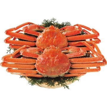 2026年お歳暮特別企画 北海道産　ボイル大ずわいがに姿２尾（計１ｋｇ） 【全国送料無料】(沖縄・離島は別途)の画像