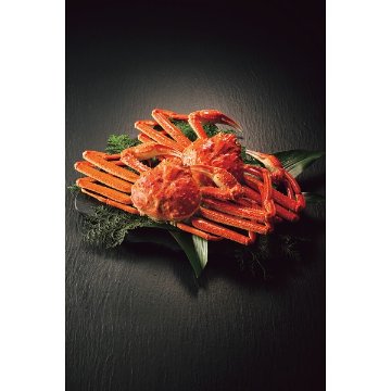 2026年お歳暮特別企画 北海道産　ボイル大ずわいがに姿２尾（計１ｋｇ） 【全国送料無料】(沖縄・離島は別途)の画像