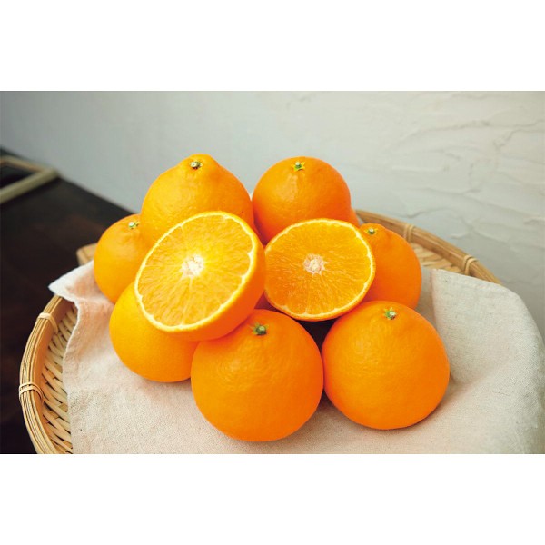 2026年お歳暮特別企画 愛媛県産　紅まどんな　秀品（３ｋｇ） 【全国送料無料】(沖縄・離島は別途)の画像