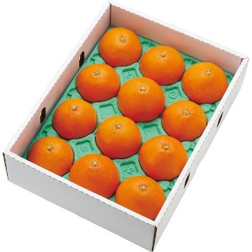 2026年お歳暮特別企画 愛媛県産　紅まどんな　秀品（３ｋｇ） 【全国送料無料】(沖縄・離島は別途)の画像