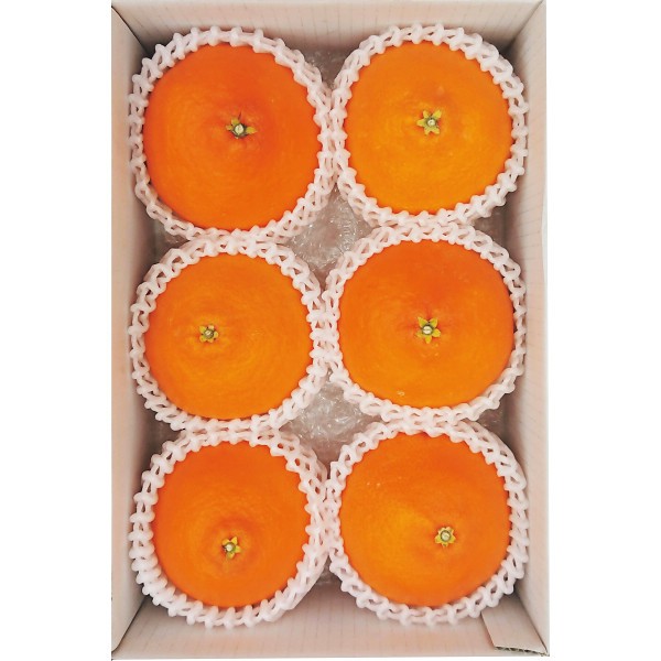 2026年お歳暮特別企画 愛媛県産　あいか（１．４ｋｇ） 【全国送料無料】(沖縄・離島は別途)の画像