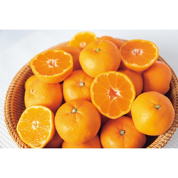 2026年お歳暮特別企画 和歌山県産　有田みかん（３ｋｇ） 【全国送料無料】(沖縄・離島は別途)の画像