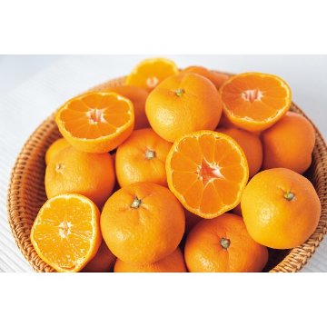 2026年お歳暮特別企画 和歌山県産　有田みかん（３ｋｇ） 【全国送料無料】(沖縄・離島は別途)の画像