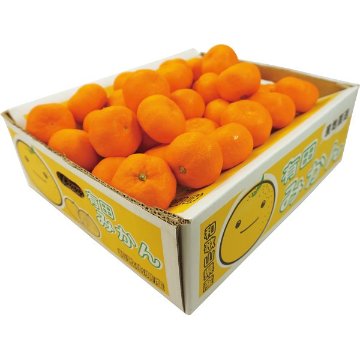 2026年お歳暮特別企画 和歌山県産　有田みかん（５ｋｇ） 【全国送料無料】(沖縄・離島は別途)の画像